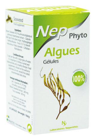 phyto-algues